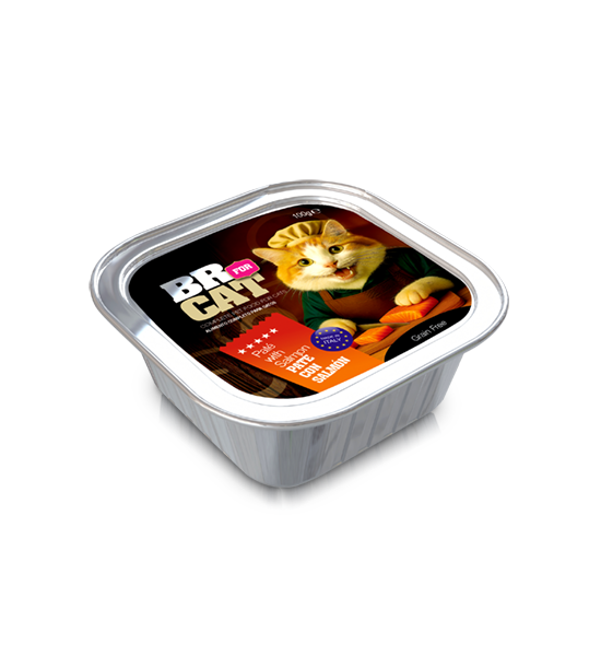 br for cat pate with salmon 100g