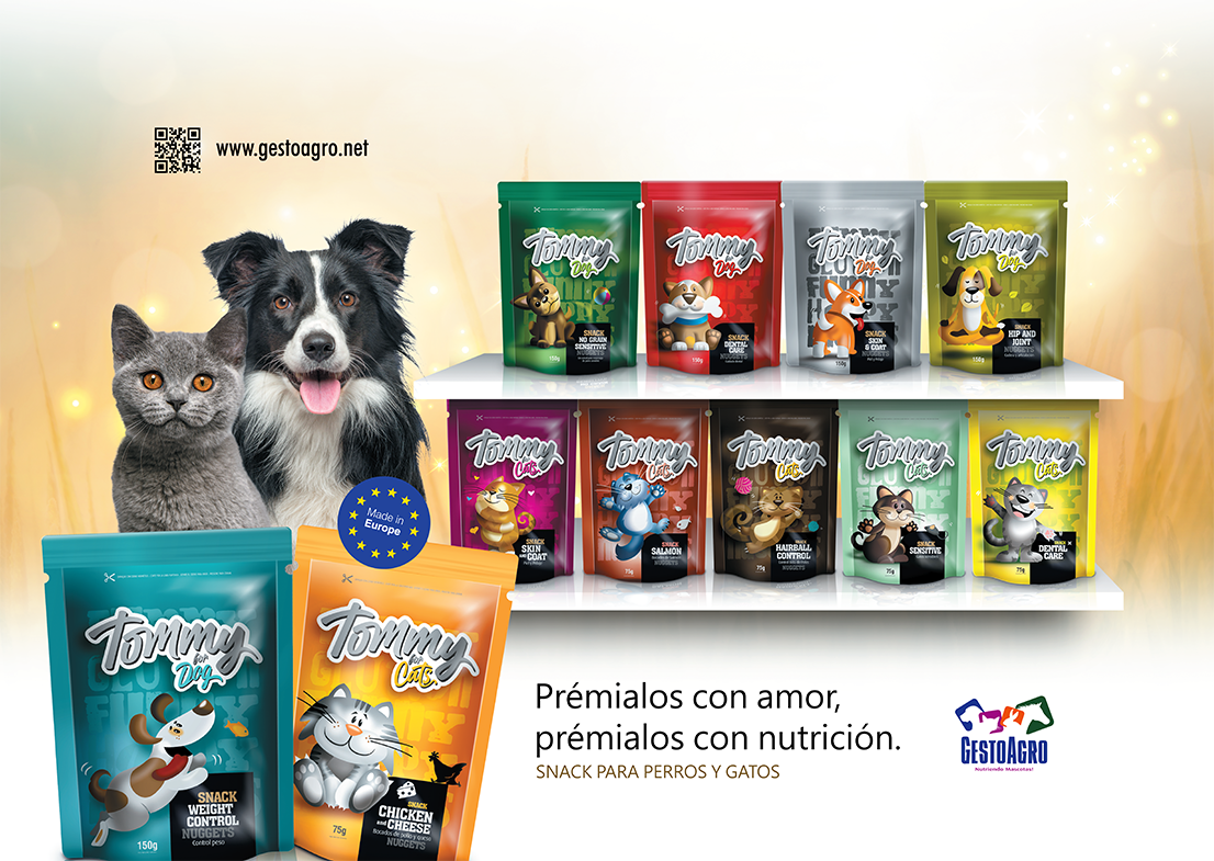 imagen modal